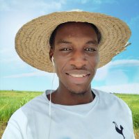 Gidi 🌾🐂🚜(@GidiDanAuta) 's Twitter Profile Photo