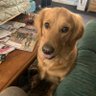 TerrySp41578076's profile picture. Conservative Christian Trump supporter pro life 2nd amendment supporter