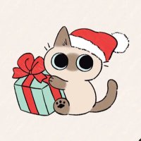 カリー🌱 (@0kari_0) Twitter profile photo