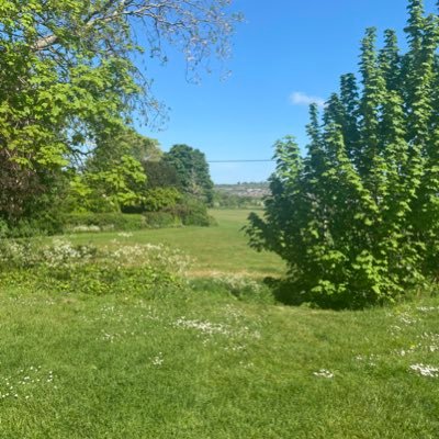 katwhewell's profile picture. 