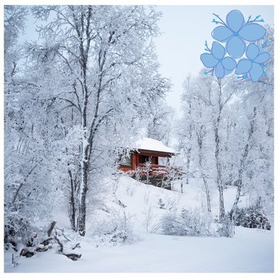 CreeksIcy's profile picture. There’s no beautiful place as our world.
Try it over and over again.