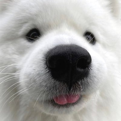 ֯ gg ˖さんのプロフィール画像
