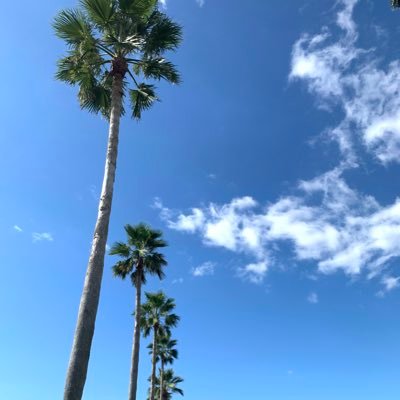 4wqHp's profile picture. 🇫🇷🇫🇮最近は国内線で思いついたまま飛んでます🛫帰ってきたあぶ刑事見て恭兵愛が復活😍タカ＆ユージ最高❣️初舞台観劇はブラッドブラザース😎横浜ブルク13・丸の内TOEIはあぶ刑事聖地❣️無断転載🈲