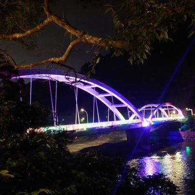 dingmature's profile picture. 