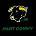 CR Nant Conwy (@CRNantConwy) Twitter profile photo