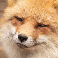 ユミ (@cloud0032000) 's Twitter Profile