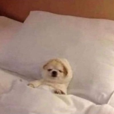 potat0pudding's profile picture. burner account. she/her. 20+
casual enjoyer of many, many things.