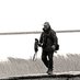 Sichuan birding (@birdingsichuan) Twitter profile photo Sichuan birding (@birdingsichuan) Twitter profile photo