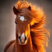 أمير العاشقين .. (@iom7vcmndadcqpp) Twitter profile photo