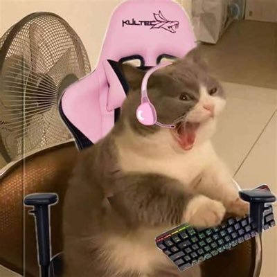 babycatgamer's profile picture. I game