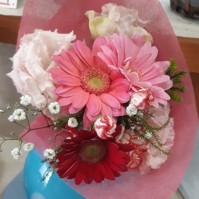 一豊です。クイズとアイドルグループが好きな高齢者施設の職員です。(しかし、今までの人生の色んな嫌なことなどがキッカケでメンタルが病んで、現在投薬治療中。)
四国の僻地県在住ゆえに競技クイズ大会・サークル例会への参加が困難なので、問題集を読んだり、オンラインクイズに参加して楽しんでいます。これからも宜しくお願いします。