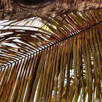 HimanSingh87's profile picture. Lawyer