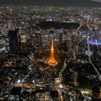 マオ (@0208mao_01) Twitter profile photo