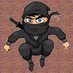 ☼ Ninja4Crypto ☼🛸 (@ninja4crypto) Twitter profile photo
