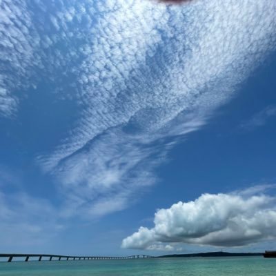 m08Zhs6hKnSX1td's profile picture. you／サイバー大学（２０２１入学）👦／無言フォロー失礼します／ 宮古島住🍹🌺🏄／福岡出身🍜