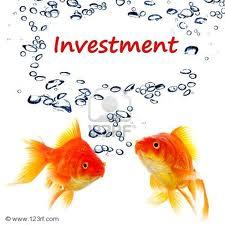 Allnest's profile picture. Directory of thousands of dedicated investment and financial web sites online.