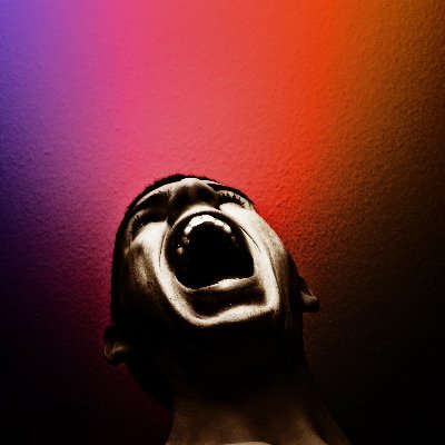 The Reclaimed Stolen Scream Collectionさんのプロフィール画像