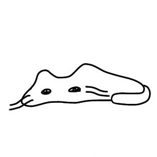 ぽこぽんたすさんのプロフィール画像