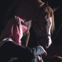 احب الاربعينيه (@muhamad58460223) 's Twitter Profile