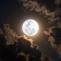 Vhuiwa (@vhuiwam) 's Twitter Profile