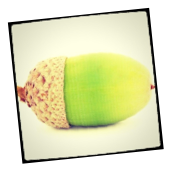 firstfollowerit's profile picture. There is no movement without the first follower. Stand alone and look ridiculous. The first follower transforms a lone nut into a leader.