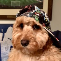 Mike Deeble (@mikedeeble) 's Twitter Profile Photo Mike Deeble (@mikedeeble) 's Twitter Profile Photo
