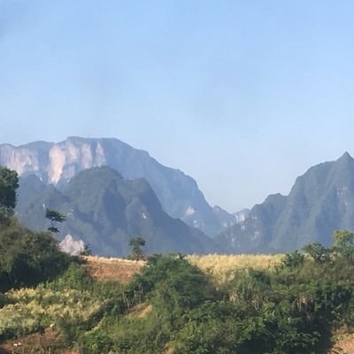 haoeeicc's profile picture. 0x85c1f88a4a16BdaE9831fe620cD6F0Eab0e2b2AF    成为土狗，迷恋土狗，爱上土狗，土狗带我发家致富😂