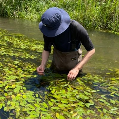 FukuokaGoo's profile picture. 