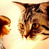 Мария АРТ (@marya_art) 's Twitter Profile