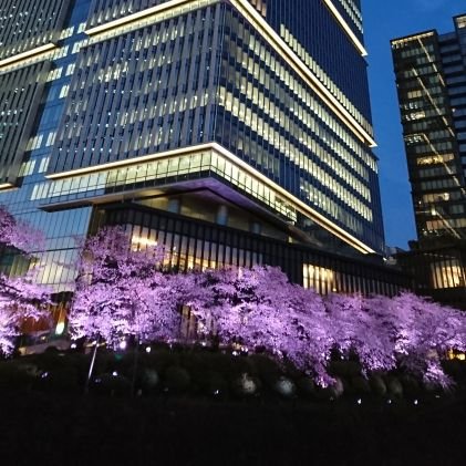 nasucoat's profile picture. 