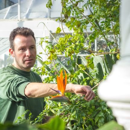 Head Gardener @ventnor_botanic   
Ex Head Gardener @bhambotanicalgd. Ex @PershoreColWCG & @RHSWisley student. YouTuber. Speaker.
Instagram theplantaholic1