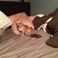 μ¬ (@saveoursailor) 's Twitter Profile Photo μ¬ (@saveoursailor) 's Twitter Profile Photo