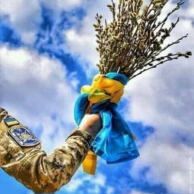 Tiguanshtorm's profile picture. The luck