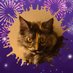 The Wee Beasties: Scout and Flora (@scoutandflora) Twitter profile photo The Wee Beasties: Scout and Flora (@scoutandflora) Twitter profile photo