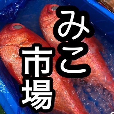 新橋SL広場付近の鮮魚居酒屋🐟1階2階でイートインでき美味しいお刺身と昼飲み夜飲みできちゃいます🍻🥢お刺身と雲丹のみこ定食、刺身定食など🙋🏻‍♀️海鮮丼もあるよ🍣ドリンクは全て500円〜🍶12-14時/17-23時まで🌙毎日営業中🙌🏻TEL: 080-4771-3535