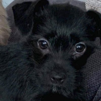 BeverlyMoreau1's profile picture. 