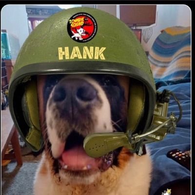 Hi I'm Hank! 🐾 I'm a furry loveable St Bernard who's just a pup starting my life & want to make lots of frenz! Follow me on my journey to adulthood!🐾🐾
#ZSHQ