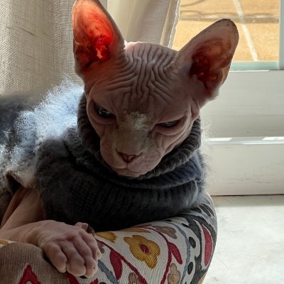 waitingforasku's profile picture. mousinNnR#2494