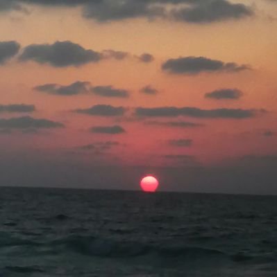 Abdulsa30796162's profile picture. I'm interested in nft,and I wish to get into this sector.