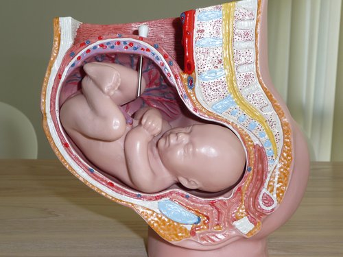 VerloskundigeZB's profile picture. Verloskundigen en Echoscopisten in de Bommelerwaard. Complete zorg onder één dak! Nieuwsgierig naar wie wij zijn? Kijk dan op onze website!