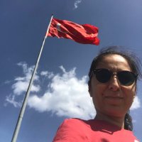 ELİF GÜRSOY (@eliffgursoy) 's Twitter Profile