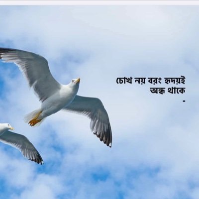 Sa28751446's profile picture. জীবনে টাকার মূল্য অপরীসিম।