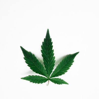 Smokedblunts1's profile picture. Smokedblunts is a supplier and educator of Medical and recreational marijuana, it's seeds and other Cannabis related products|CBD | THC | Edibles | Carts | Dabs