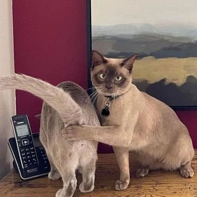 murat49600553's profile picture. olgun kadınlar demden yazın tanışalım