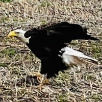 Red Dawn Warning🇺🇸🇺🇸🙏🖖 (@rivervic1974) 's Twitter Profile Photo