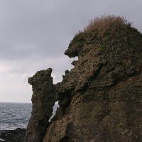 道東の人 (@macrosiphini) 's Twitter Profile