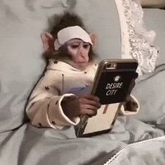 borntojie's profile picture. 