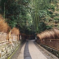だあきにい (@nfxntehlki6uvfm) 's Twitter Profile Photo
