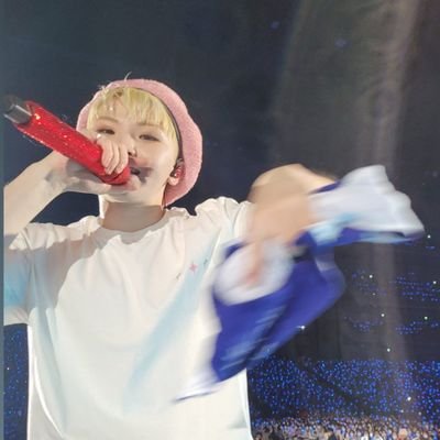 jangan tanya siapa biasku di Seventeen, soalnya aku sasimo.