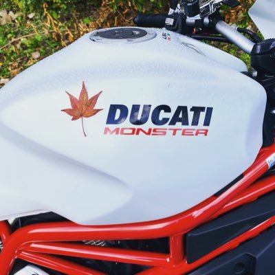 manmugnoway's profile picture. Anterior cruciate ligament rupture   Is it worth living？